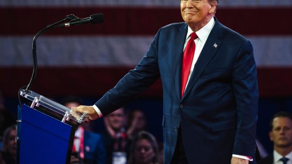 trump - usa elections 2024